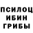 Галлюциногенные грибы Magic Shrooms Mark Evdokimov