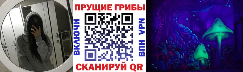 где найти наркотики  Абакан  Галлюциногенные грибы Cubensis 